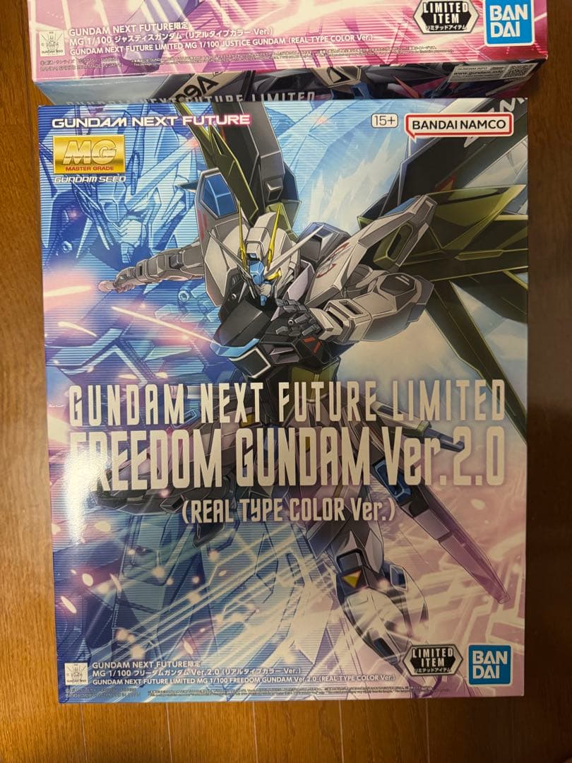 MG フリーダムガンダム　ジャスティスガンダム　リアルタイプカラー