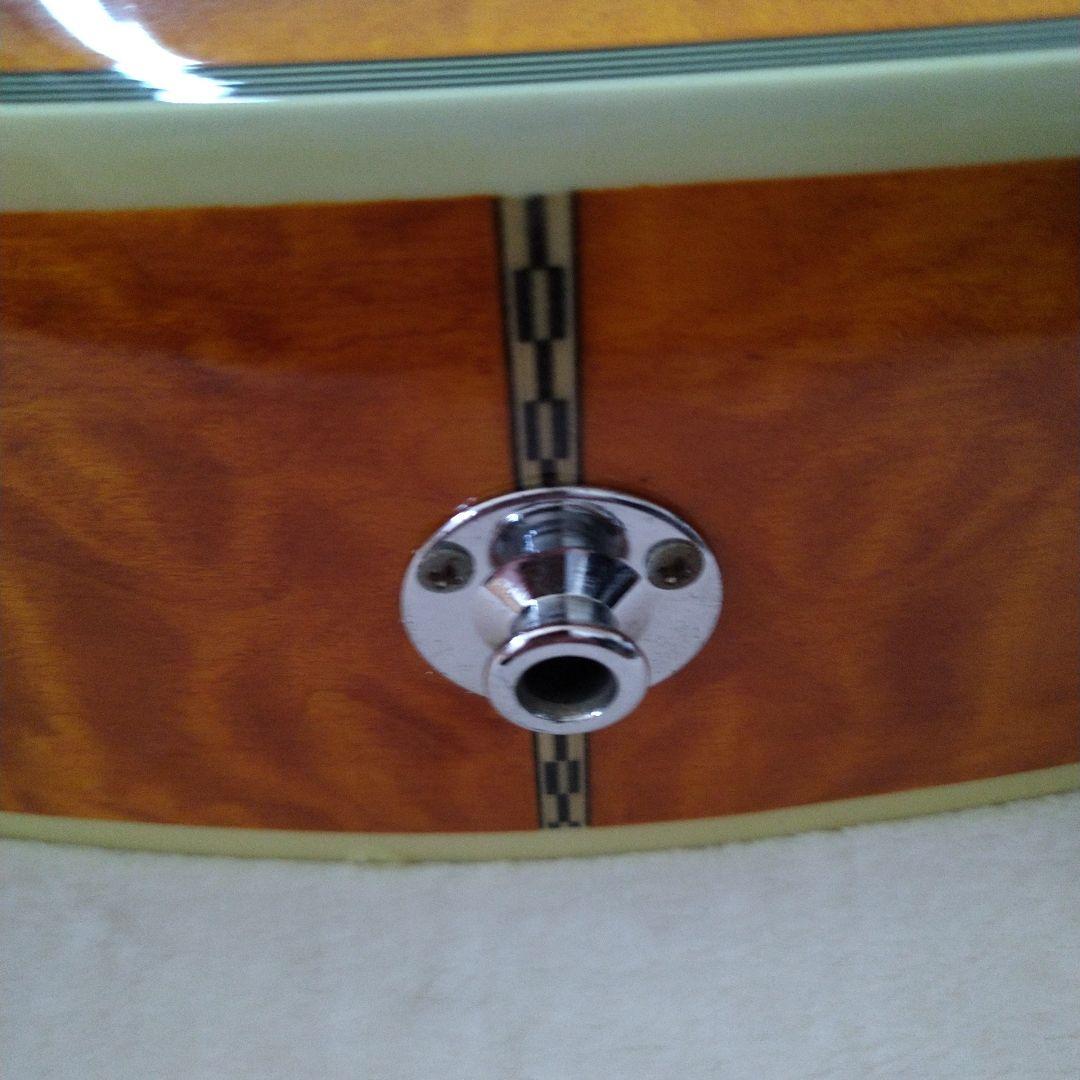 エレアコ・フレットレスベース 　Ｇreg Bennet AB-11CE/FL