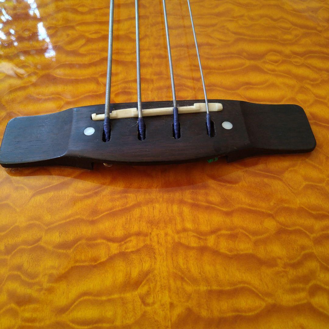 エレアコ・フレットレスベース 　Ｇreg Bennet AB-11CE/FL