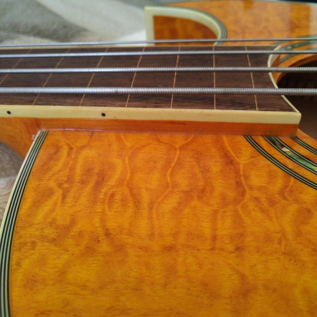 エレアコ・フレットレスベース 　Ｇreg Bennet AB-11CE/FL