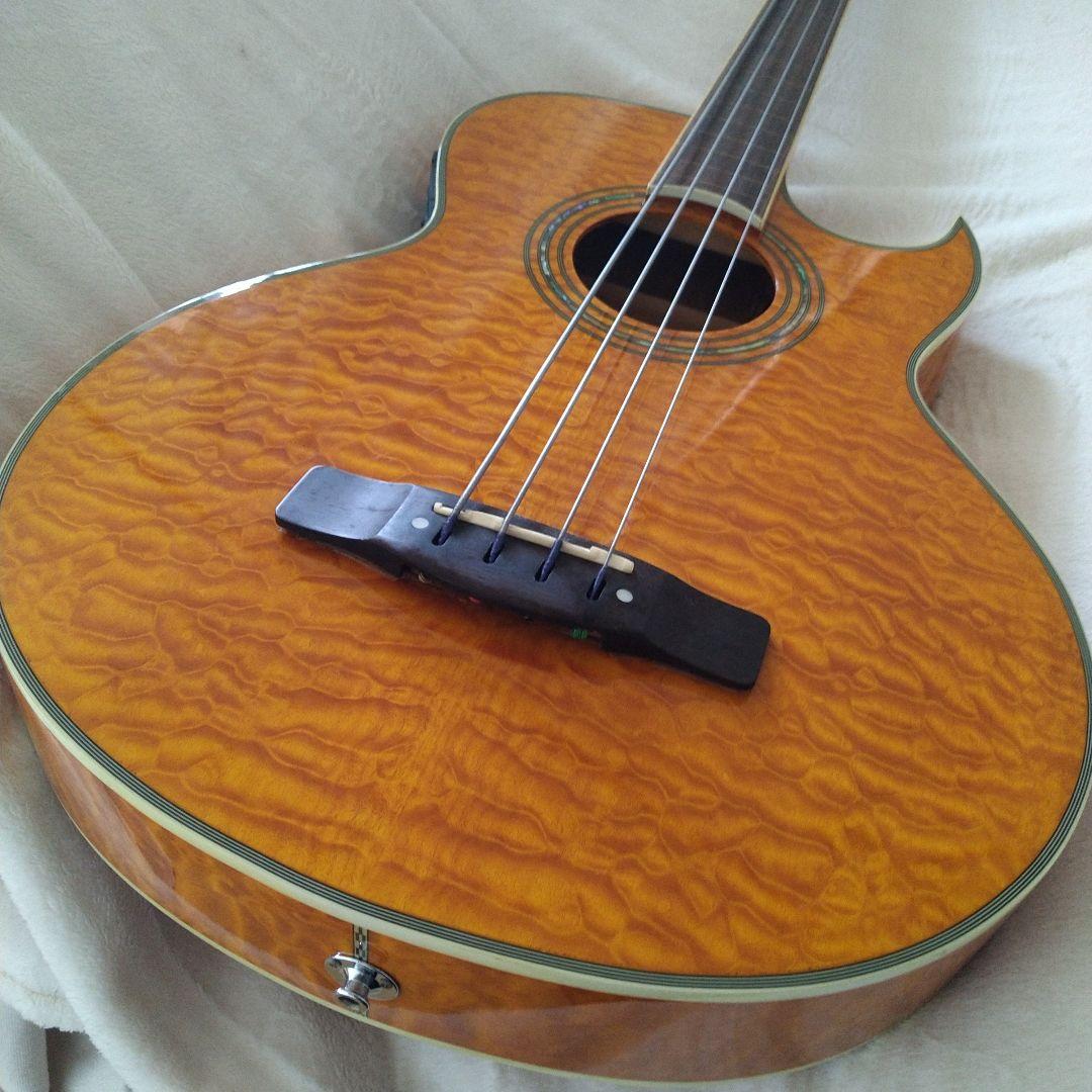 エレアコ・フレットレスベース 　Ｇreg Bennet AB-11CE/FL