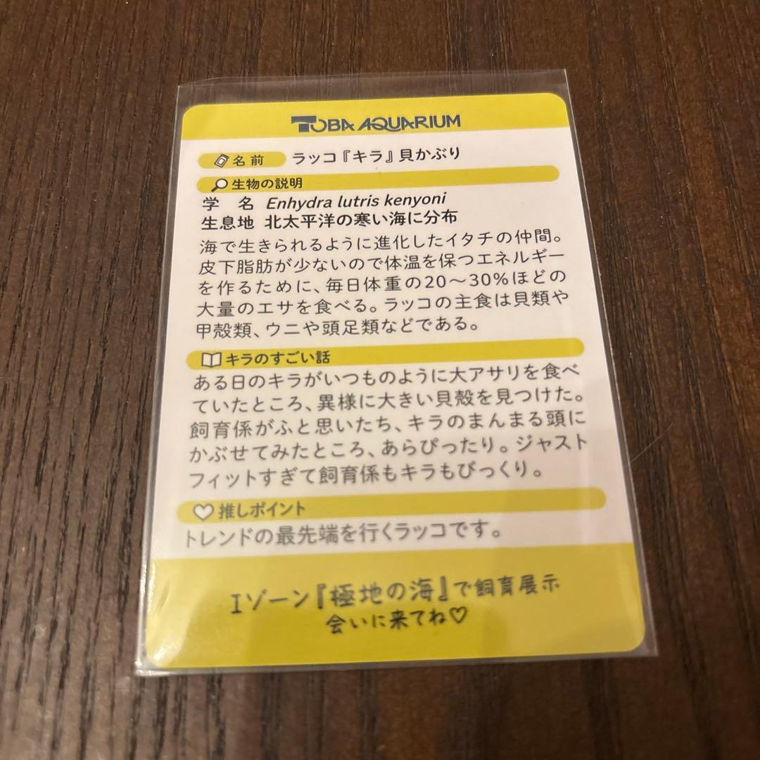 鳥羽水族館 コレクションカード ラッコ キラ