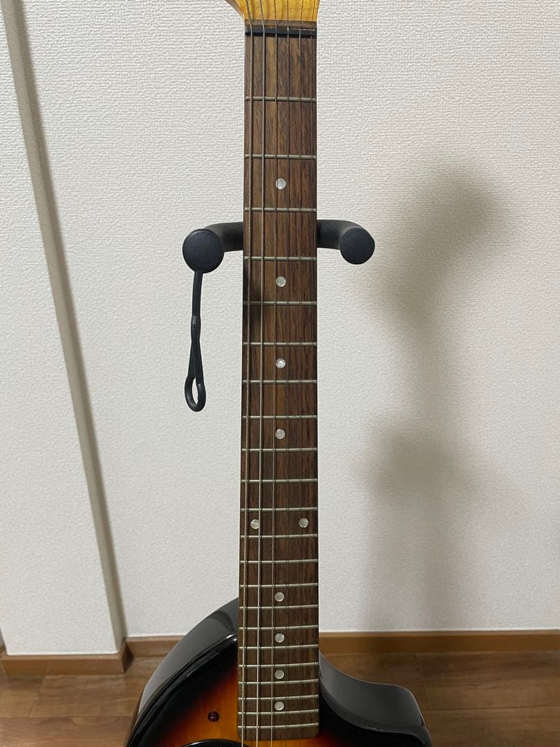 FERNANDES ZO-3 芸達者