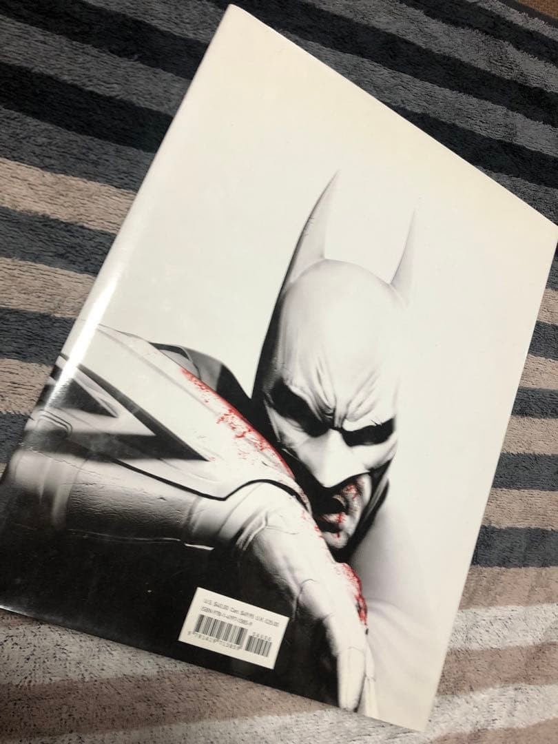 アート・デザイン・音楽 THE ART OF ROCKSTEADY'S BATMAN