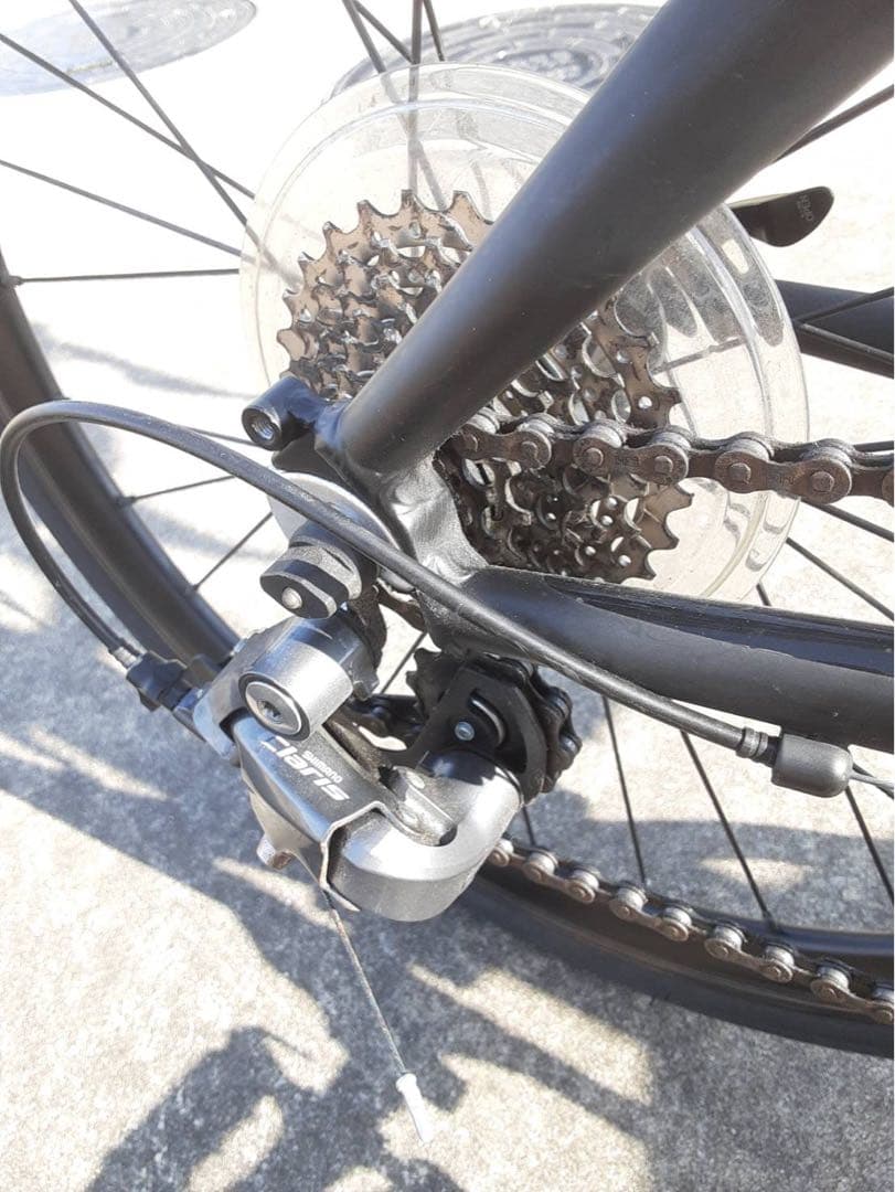 フラワー 　TERN ( ターン ) SURGE