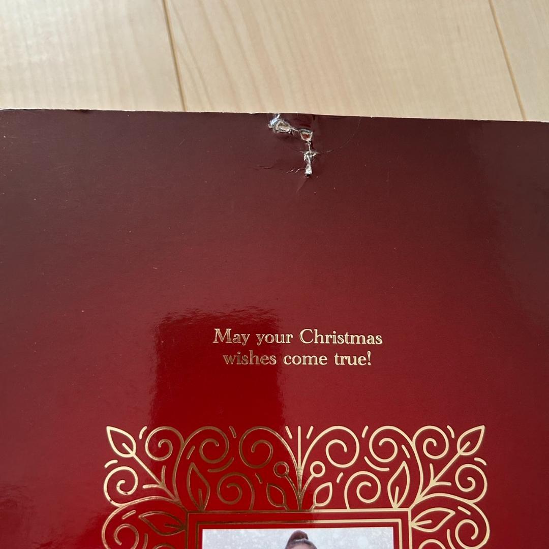 【おまけつき】安室奈美恵namie amuro doll クリスマス奈美恵ドール