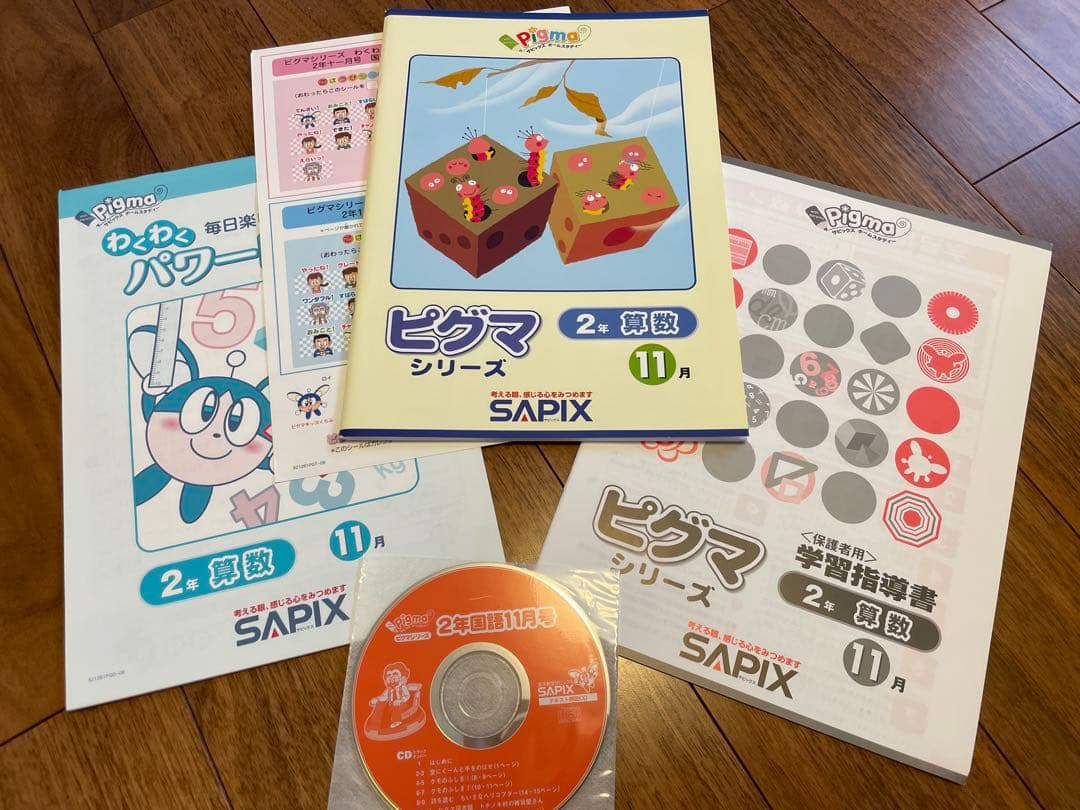 【未記入】サピックス　ピグマ　2年生　通信