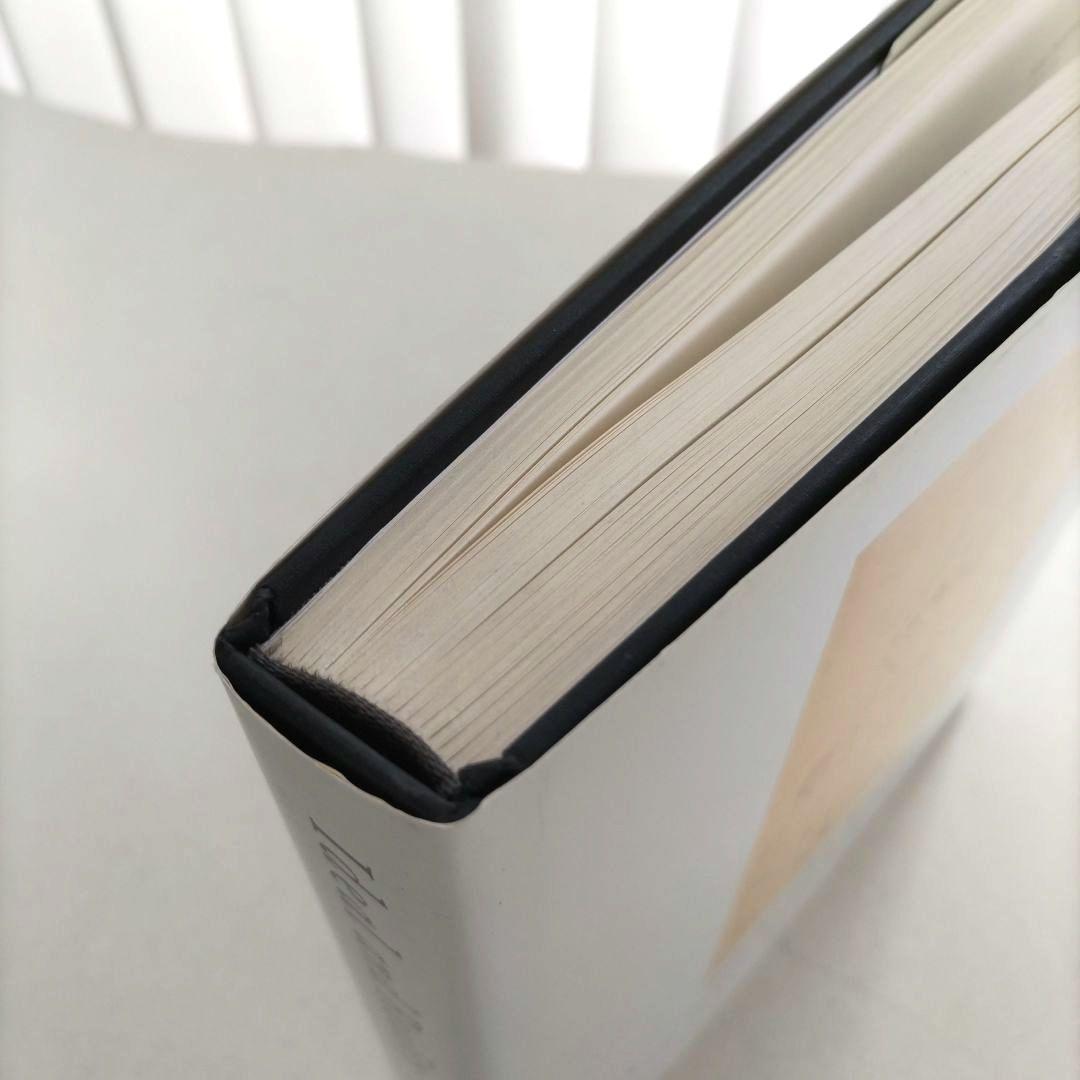 Ideal and Reality/ 絵画 水彩画 作品集 アート 画集 洋書