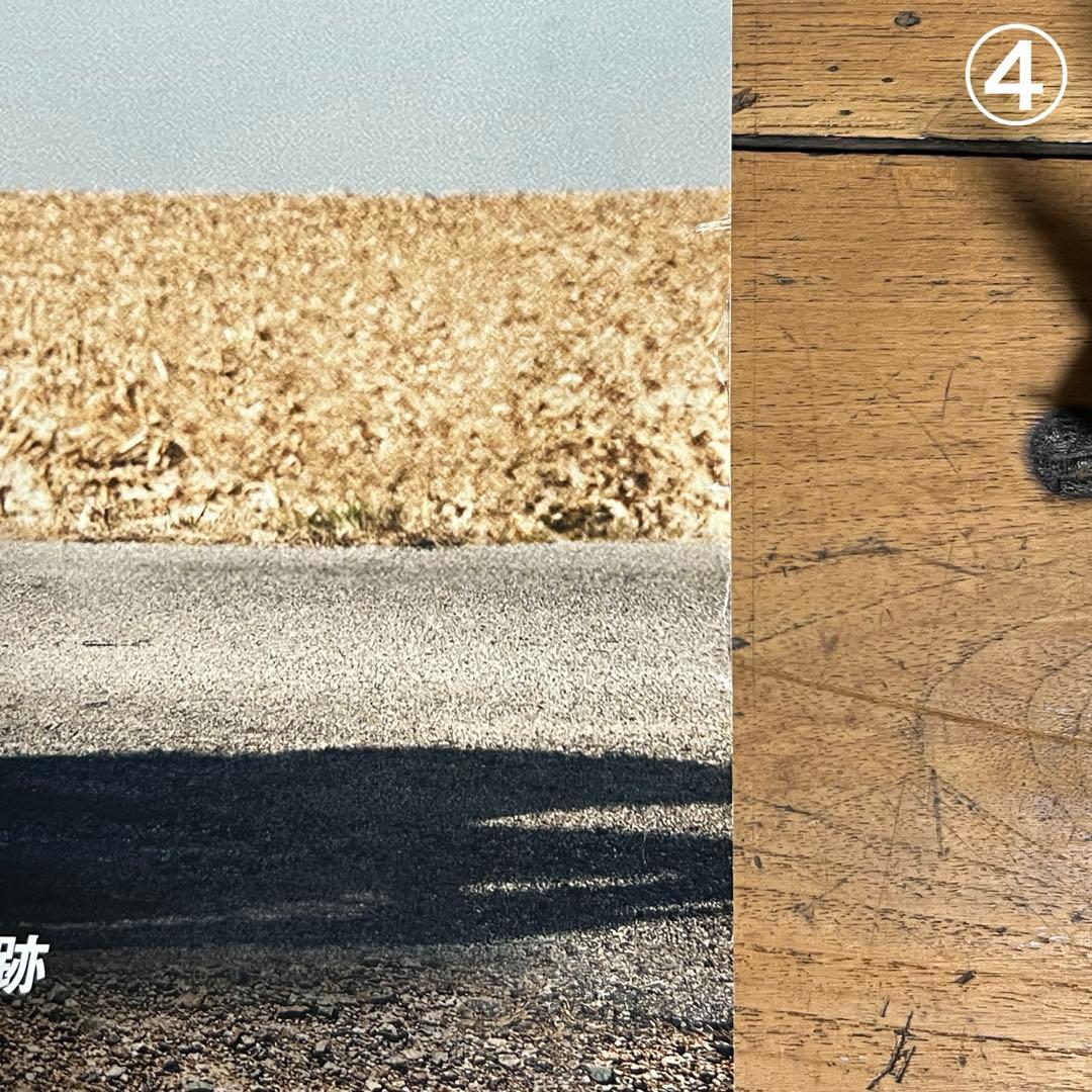 未使用 映画 B2ポスター　ザ・バイクライダーズ Harley-Davidson