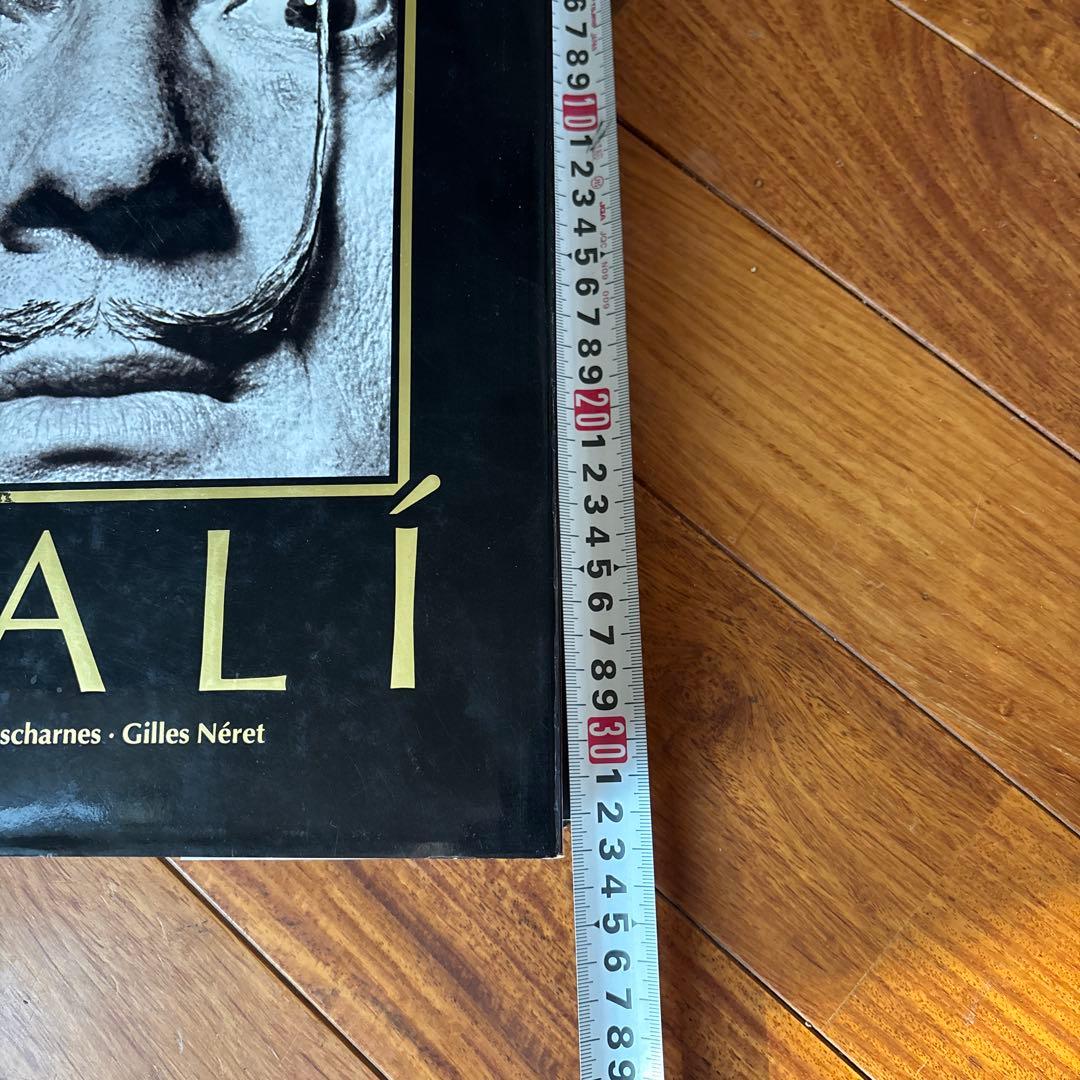 DALÍ The Paintings DALI ダリ全集 希少 英語版