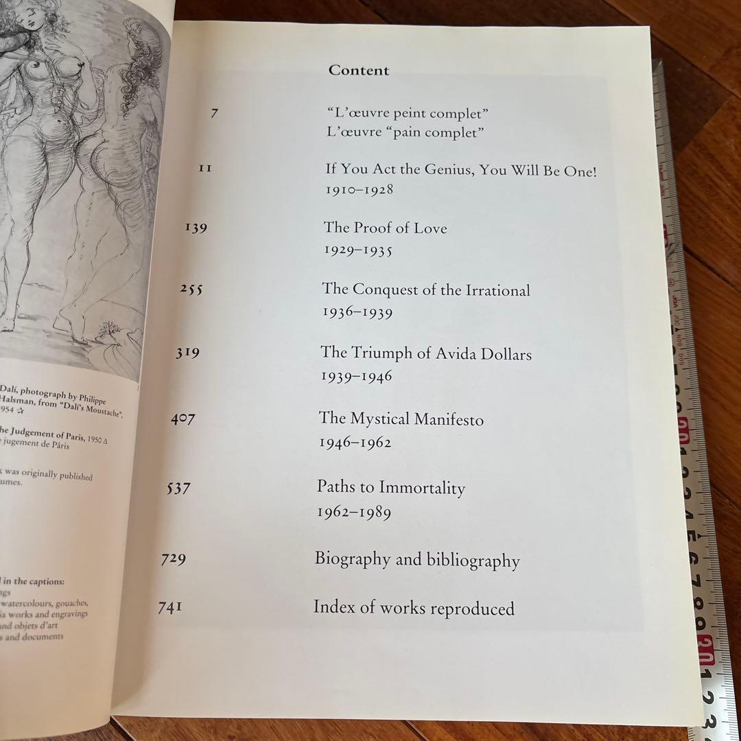 DALÍ The Paintings DALI ダリ全集 希少 英語版