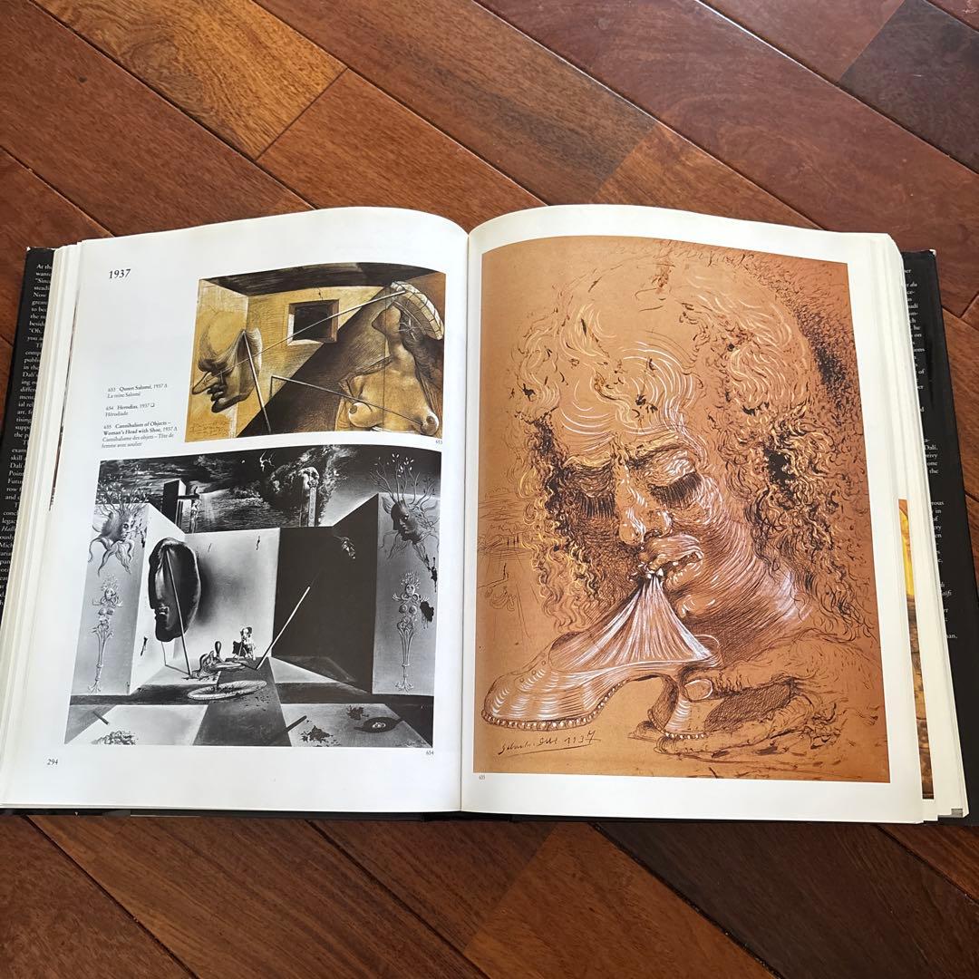 DALÍ The Paintings DALI ダリ全集 希少 英語版