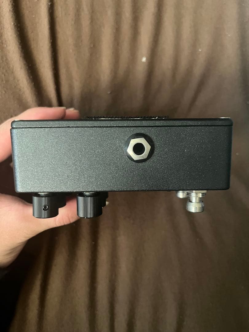 ギター WALRUS AUDIO SLARP LIMITEDEDITION