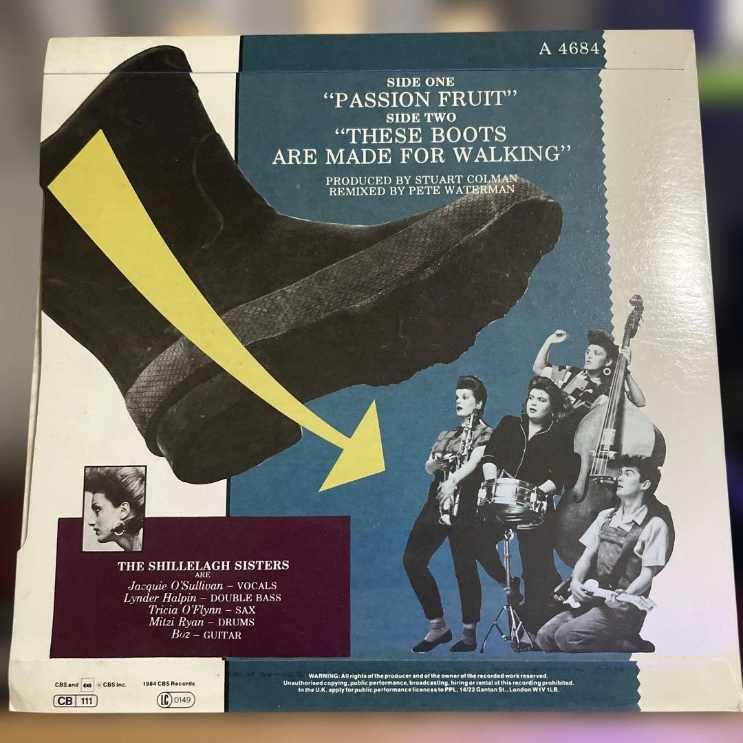 THE SHILLELAGH SISTERS レコード　7インチ　レア盤
