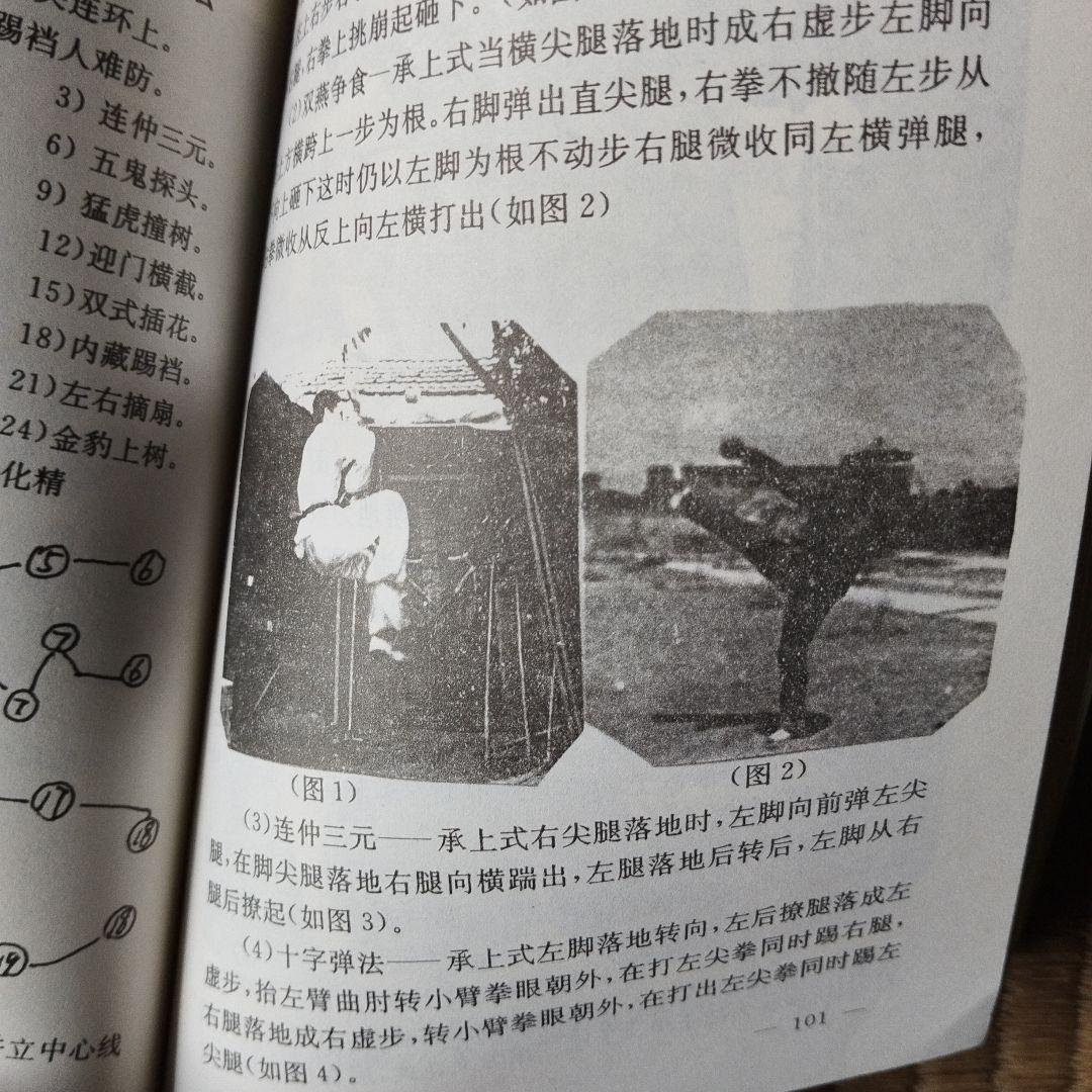 白猿通背拳 中国武術