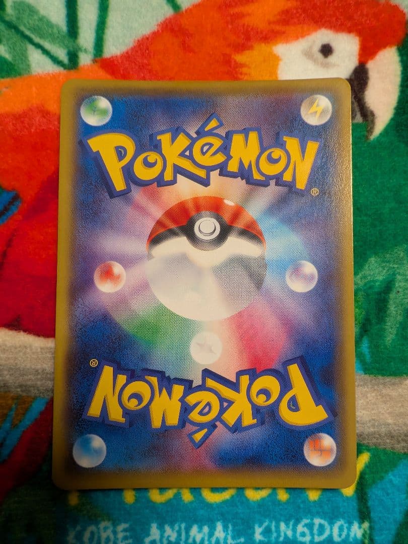 ポケモンカード　マリィ　SR　シールド