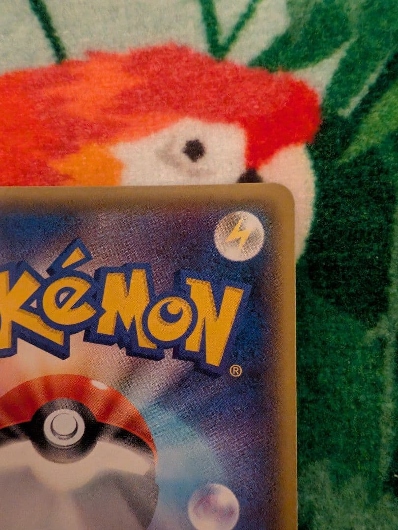 ポケモンカード　マリィ　SR　シールド