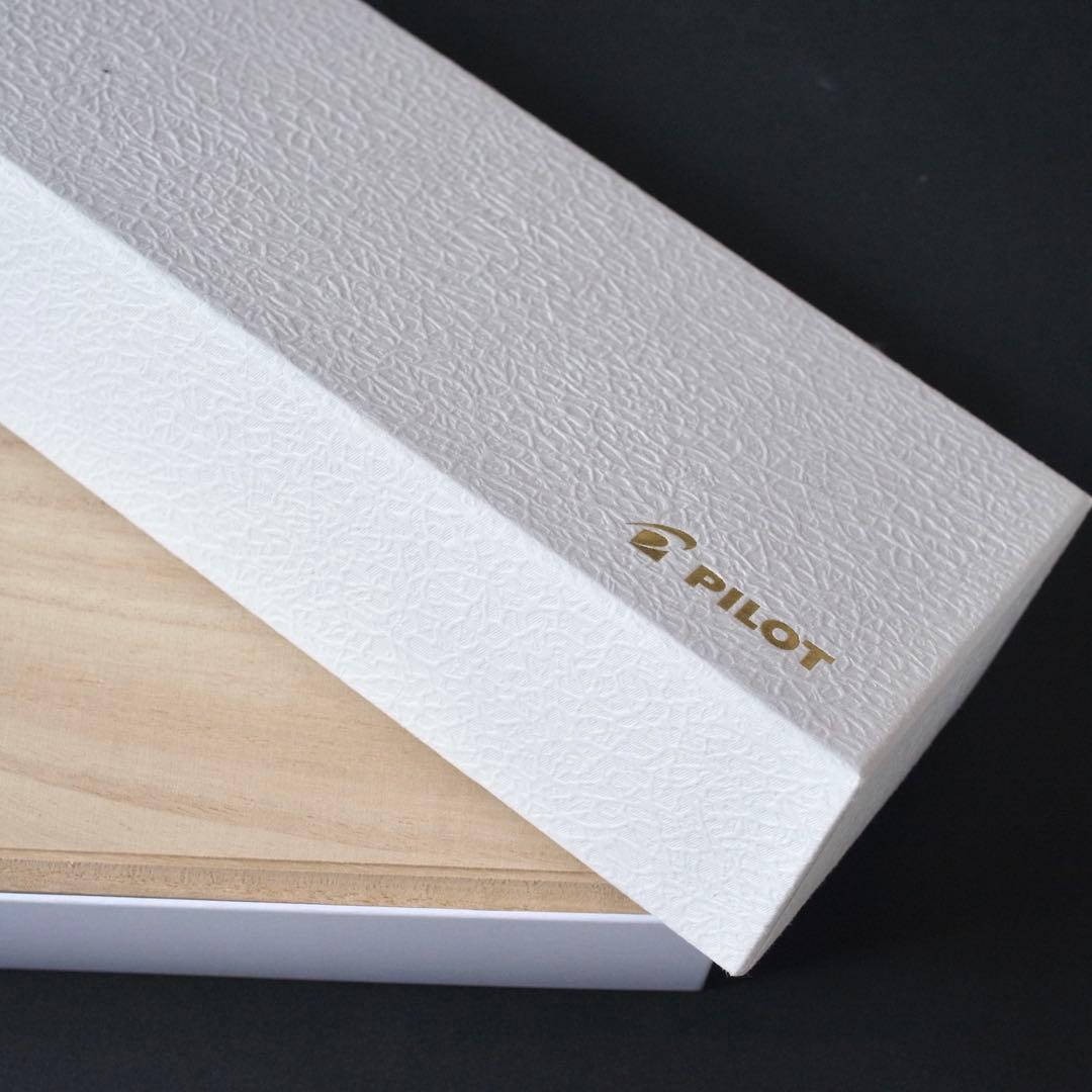 【LUNA】PILOT カスタム 845 万年筆　Fニブ