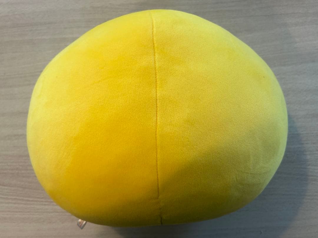 Stray Kids skzooクッション ポガリBbokAri