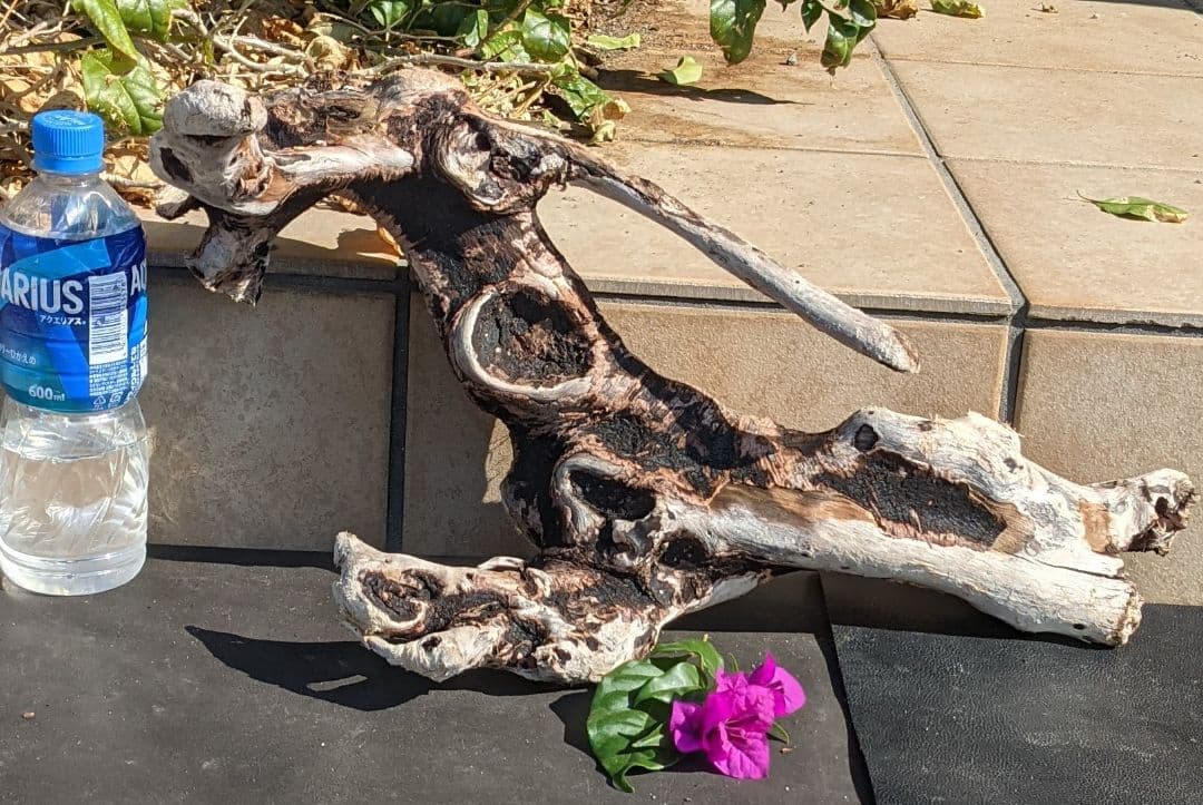 KKページ（10本+4セット）