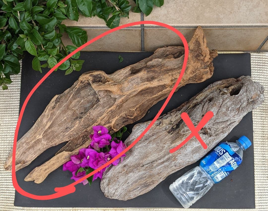 KKページ（10本+4セット）