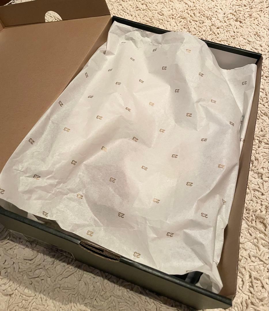 Jordan V Low Golf 9.5 ［中古］希少ジョーダン5