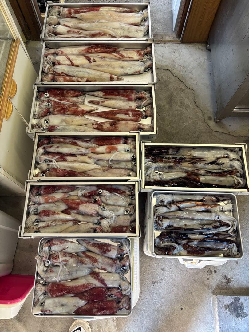 原価　newDUELezスリム70mm ＋プッカ75mm 13個セット