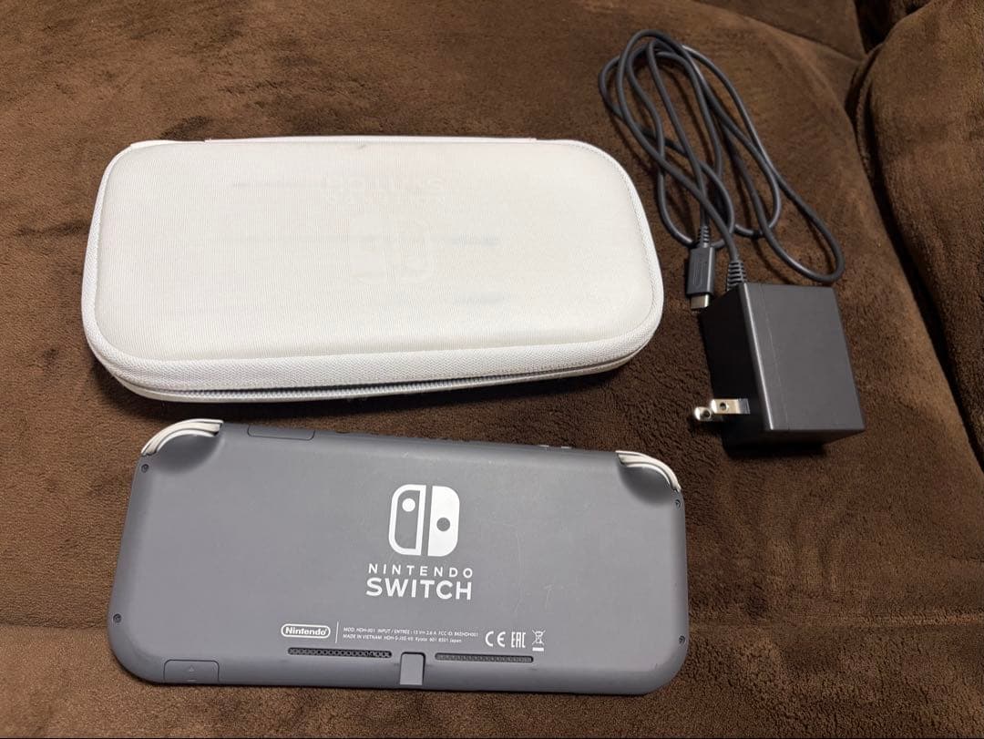 Nintendo Switch Lite グレー 本体 充電器 ケース付き
