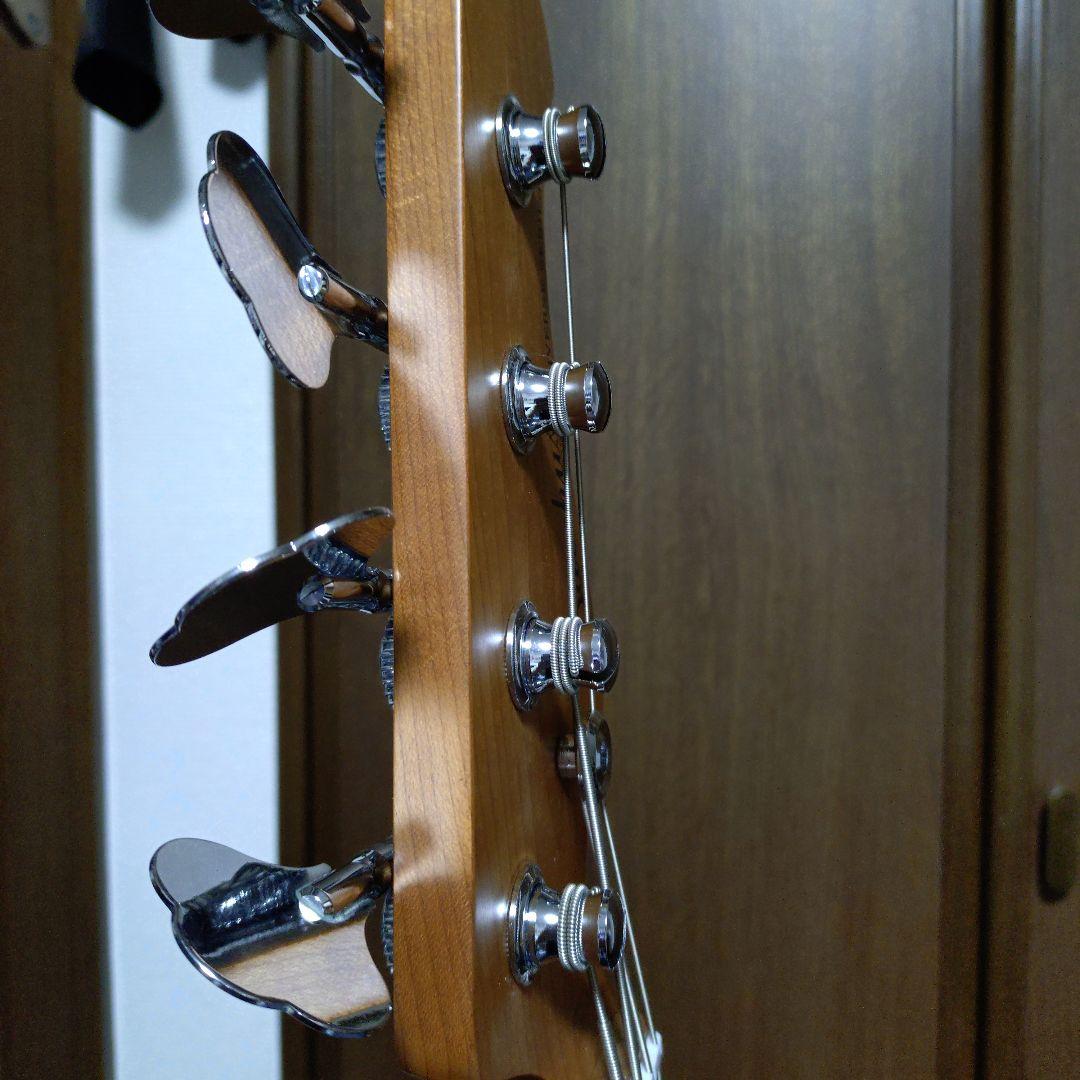 Bacchus / WJB-1DX RSM/M FR 4弦ベース