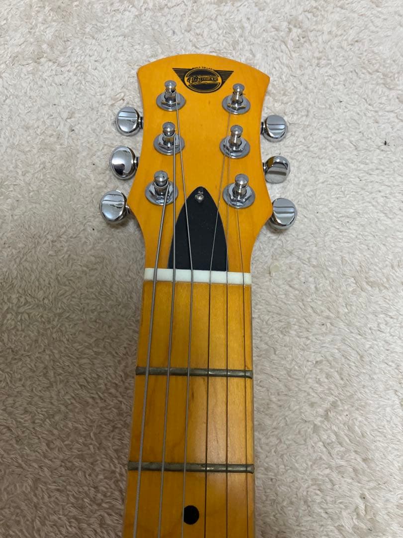 【美品】Pignose ピグノーズ PGG-200