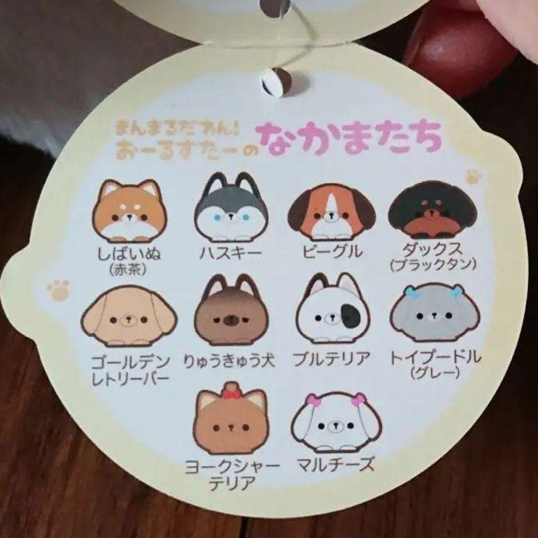 いぬのぬいぐるみまとめ売り