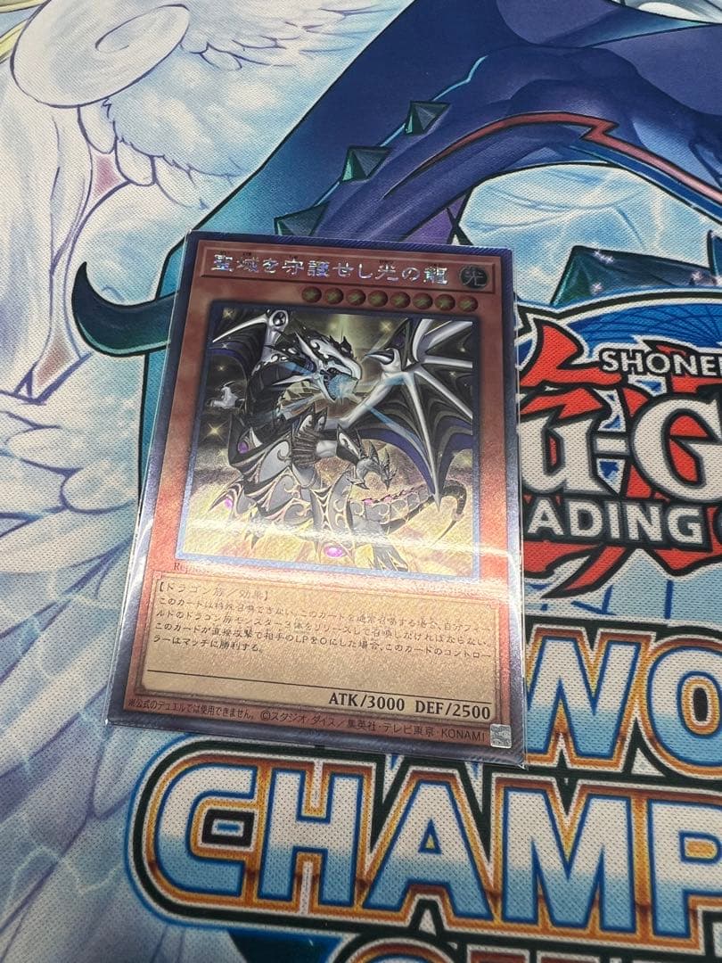 聖域を守護せし光の龍　エクシク