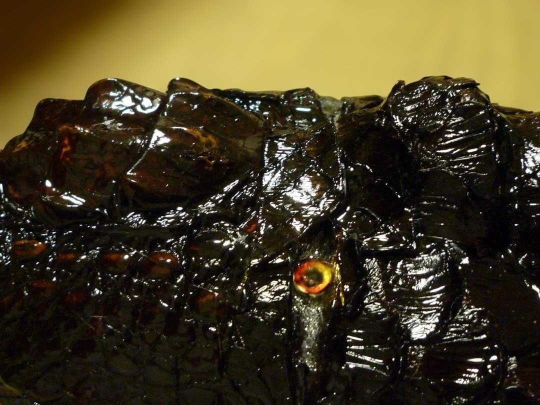 小面の面表面にワニ革（カイマン）と蛇革（パイソン）を張った作品