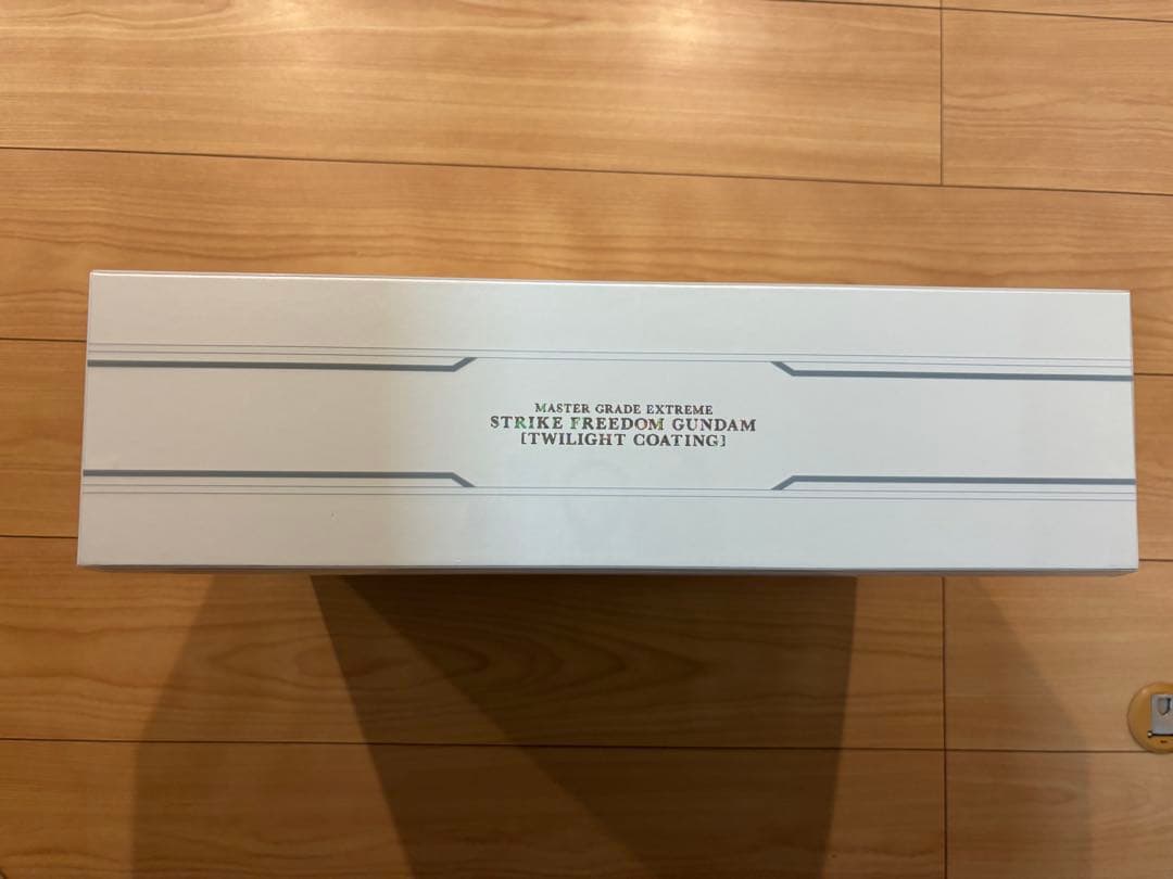 ア*ズ様 MGEX ストライクフリーダムガンダム twilightcoating