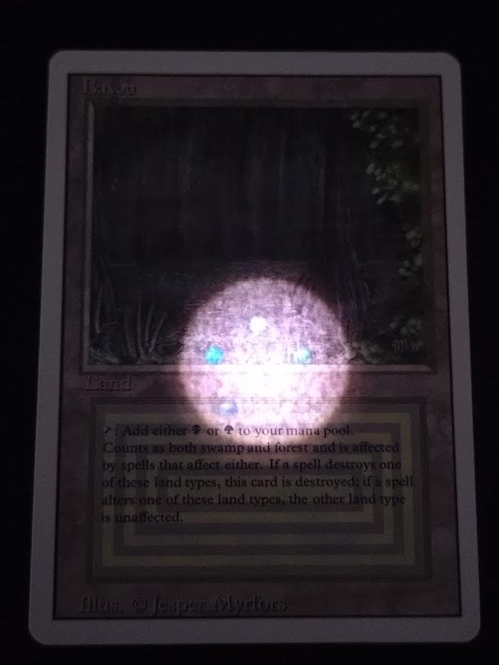 MTG Bayou 英語 リバイズド 3ED