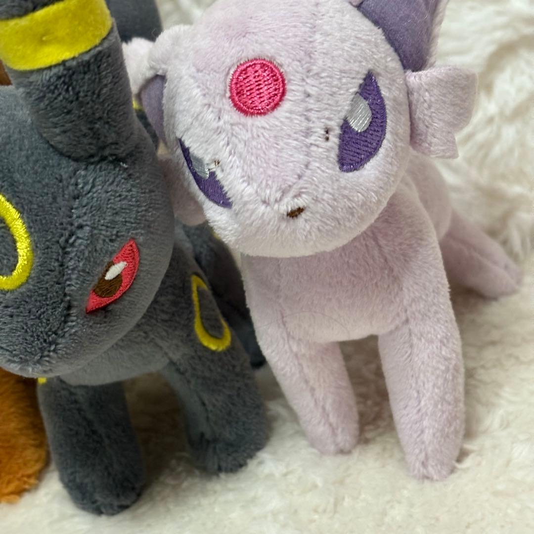 希少 ポケモン キャンバス イーブイ ブラッキー エーフィ セット 2009