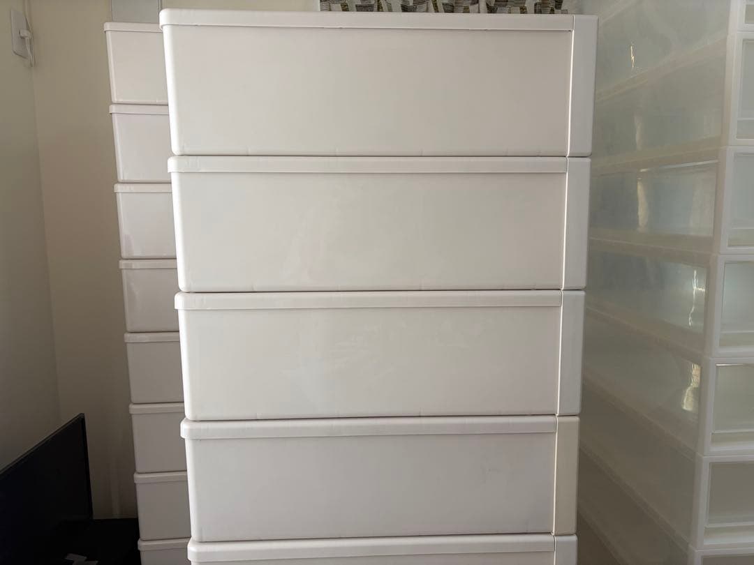 【まとめ売り可能・バラ売り可能】 スネークラック　Fits 衣装ケース