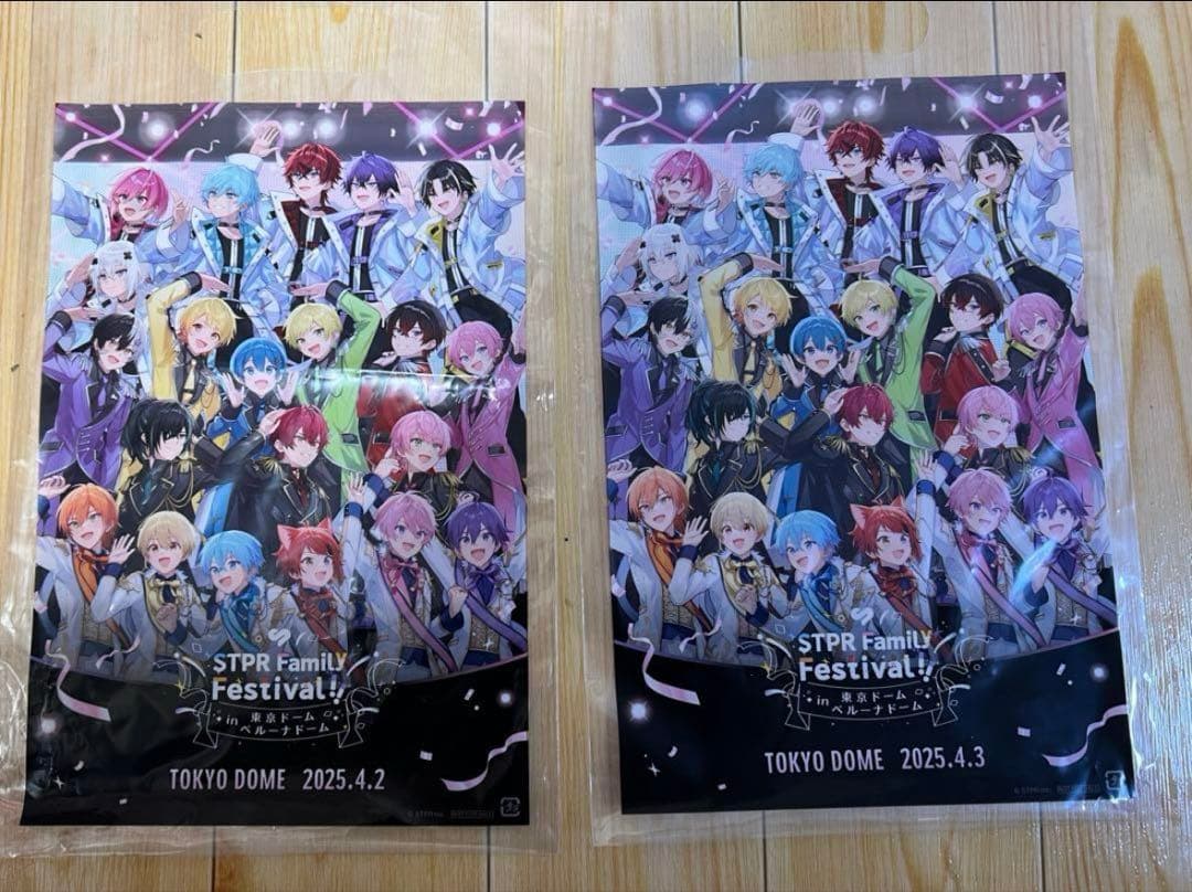 すとふぇす 東京ドーム リンライ ベルーナ ショッパーチケットファイル 銀テ絵馬