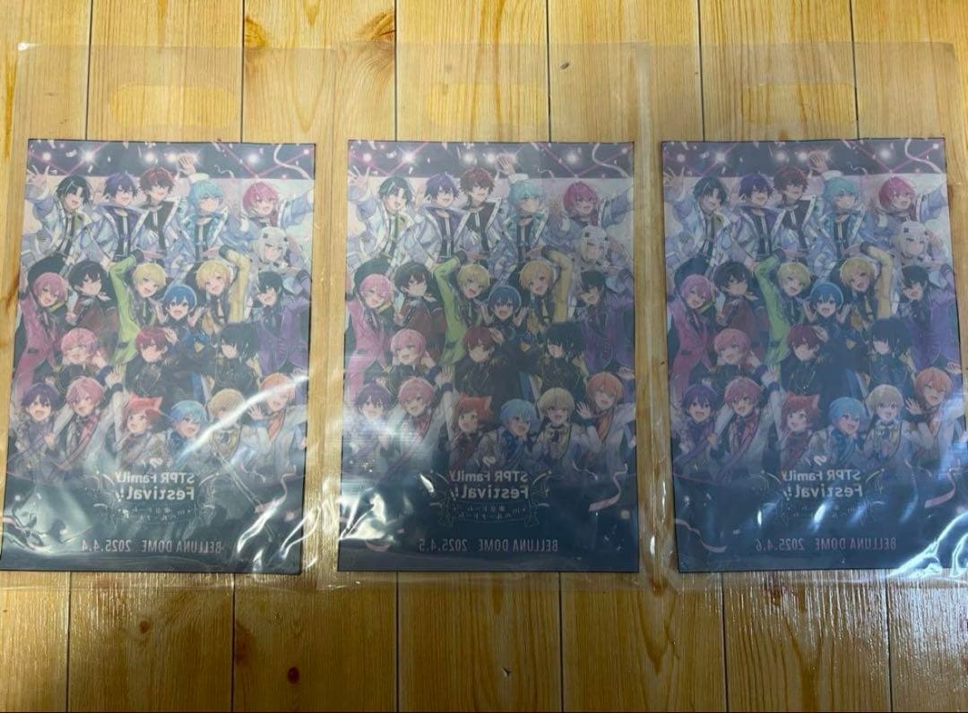 すとふぇす 東京ドーム リンライ ベルーナ ショッパーチケットファイル 銀テ絵馬