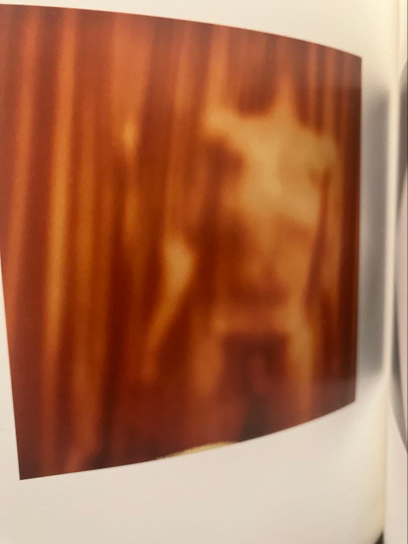 Antoine D'Agata Vortex アントワーヌ・ダガタ写真集マグナム