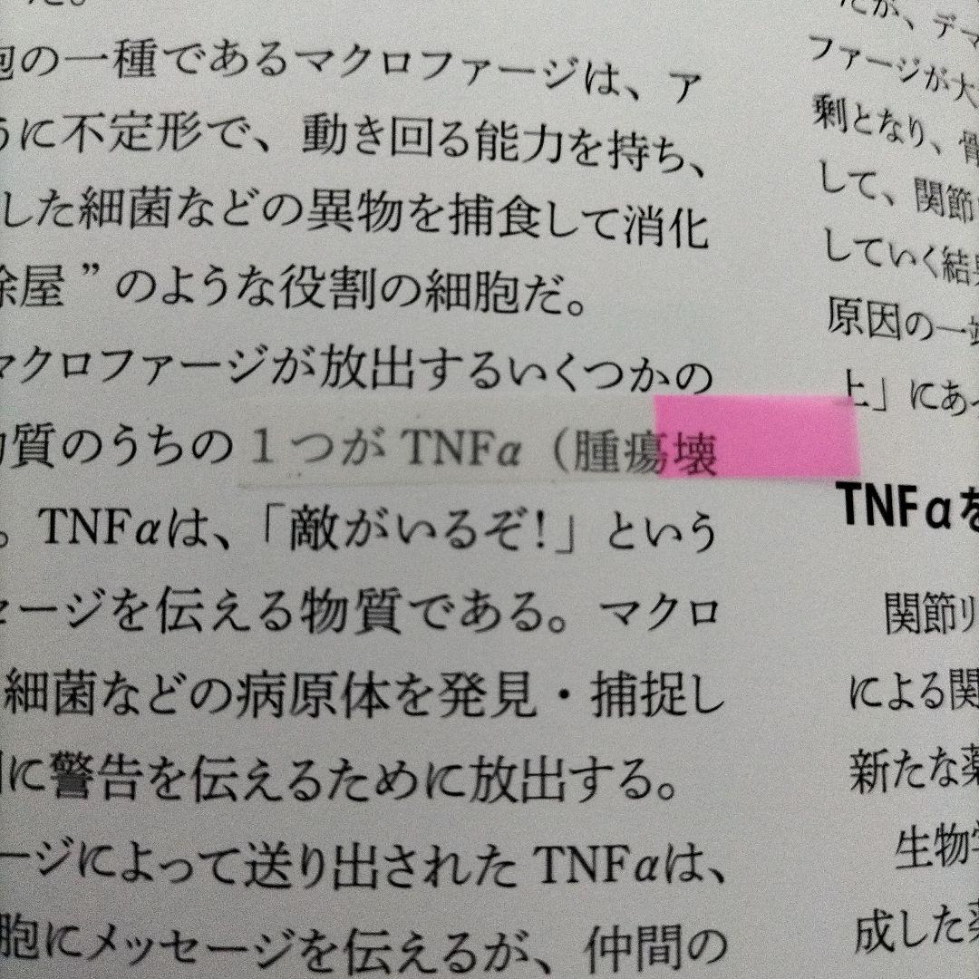 【期間限定値下げ】NHKスペシャル「人体～神秘の巨大ネットワーク」1＆2＆3＆4