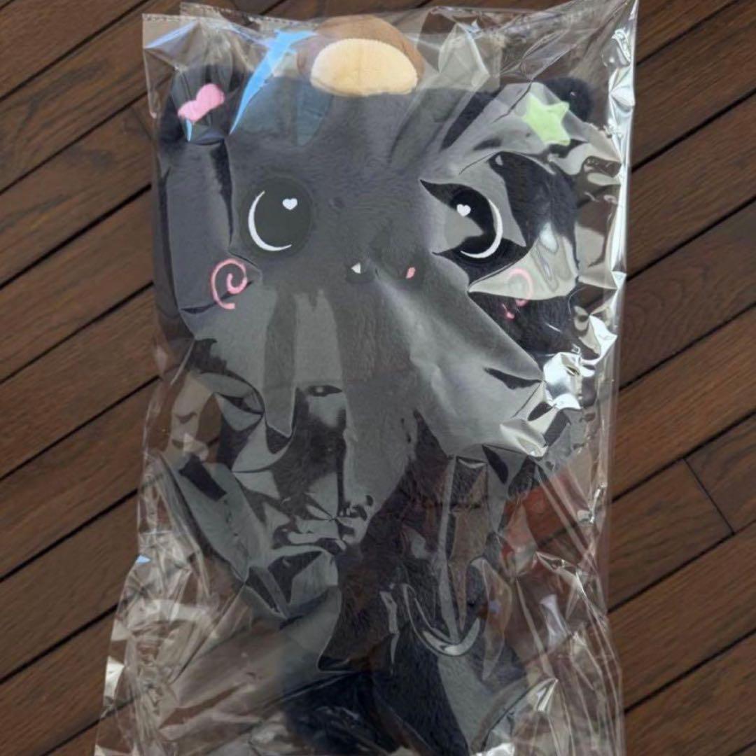 NCT WISH ソウルコン リク ぬいぐるみ キャラクターバッグ　トレカ付き