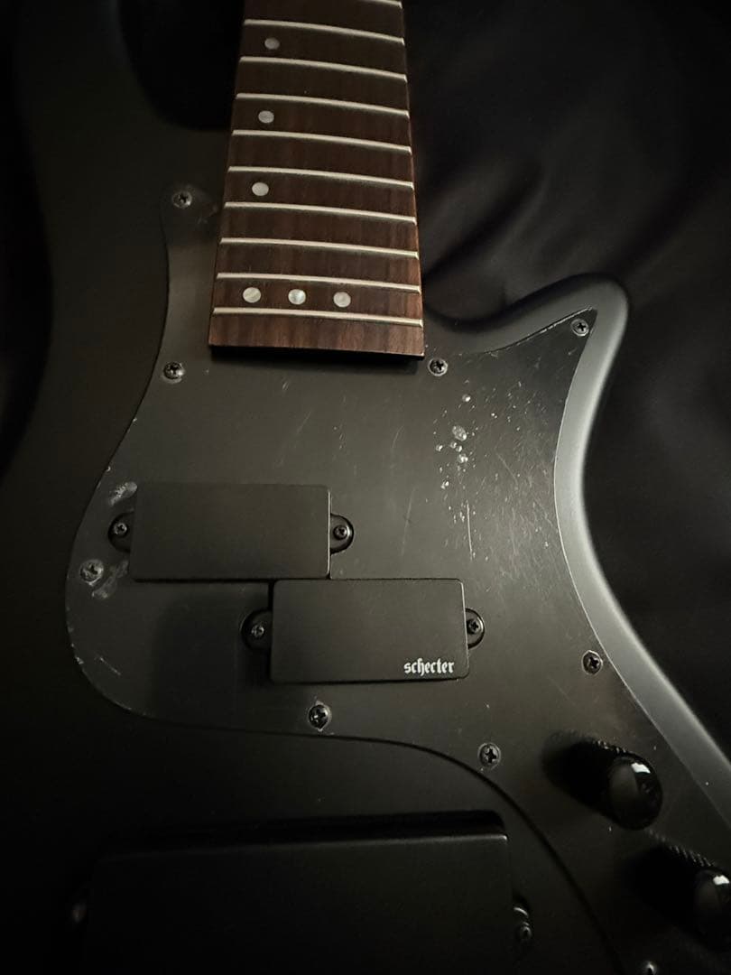 [ シェクター 5弦ベース ] Schecter STEALTH-5