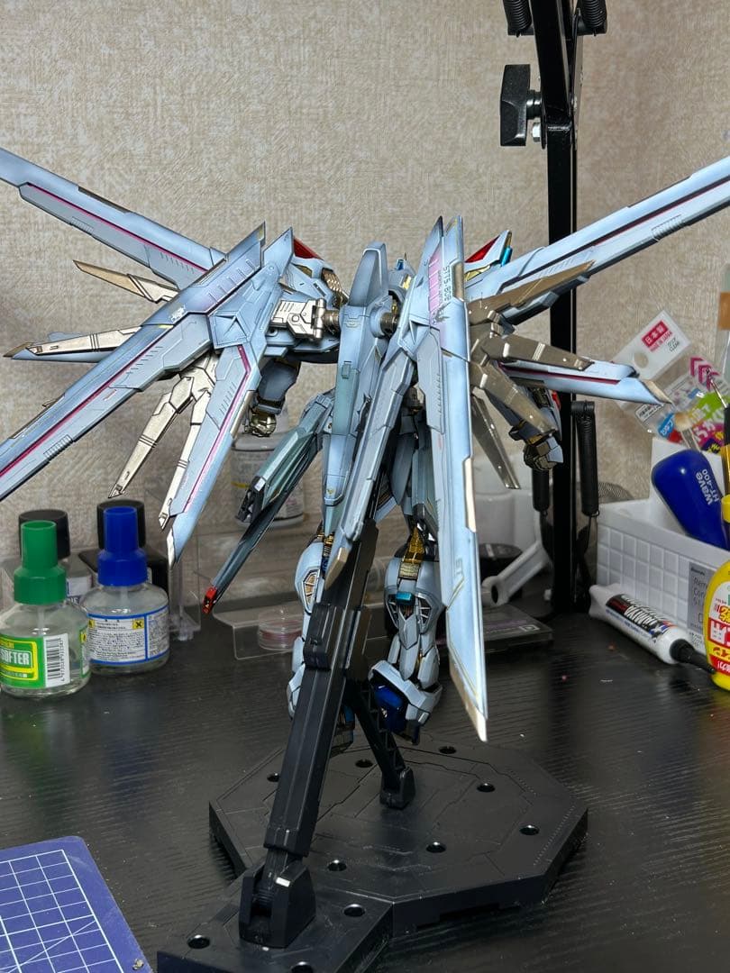 依頼品 MGEX ストライクフリーダム (海外製キット使用) 全塗装完成品