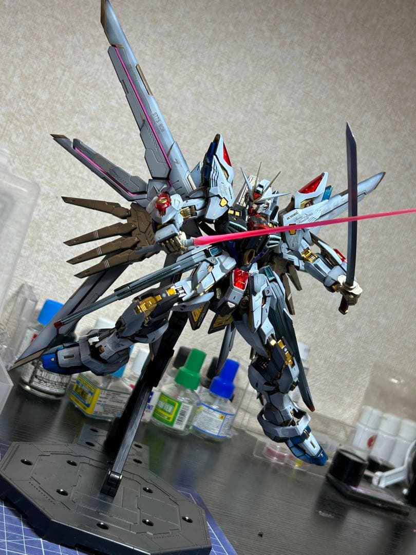 依頼品 MGEX ストライクフリーダム (海外製キット使用) 全塗装完成品