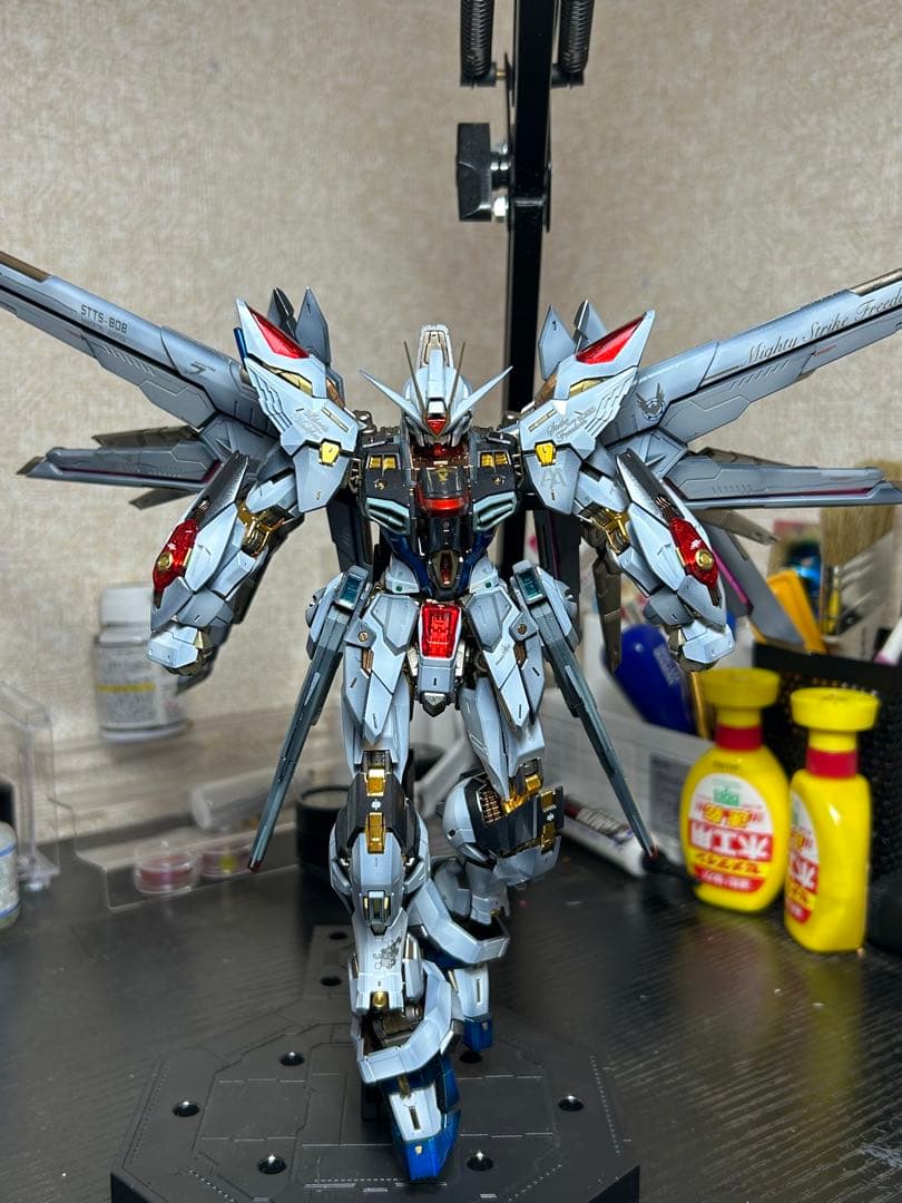 依頼品 MGEX ストライクフリーダム (海外製キット使用) 全塗装完成品