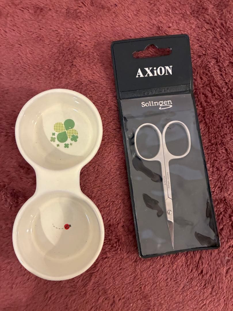 モモンガ　ゲージ　小動物　フクロウモモンガ