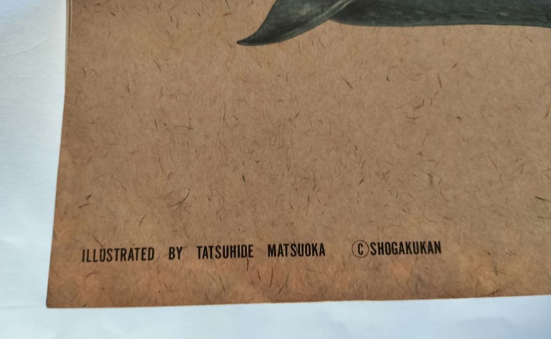 BE-PAL ビーパル カレンダー 新品未使用 1991年動物編　ヴィンテージ