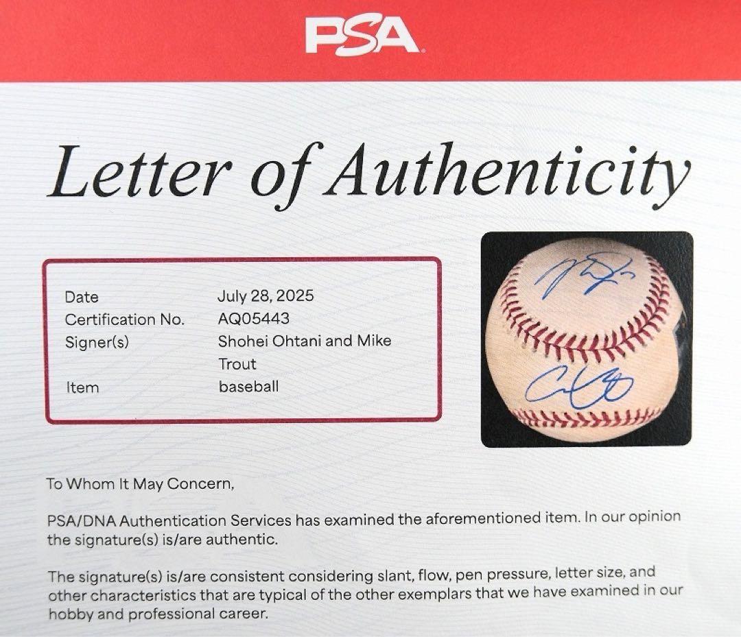 大谷翔平＆マイク・トラウト 2018年実使用 ダブル直筆サインボール