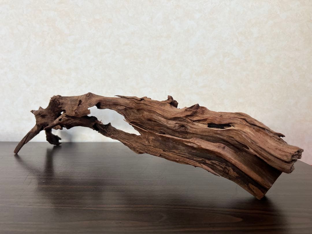 HX-026 流木　ホーンウッド　マシンガンウッド　アクアリウム　ブランチウッド